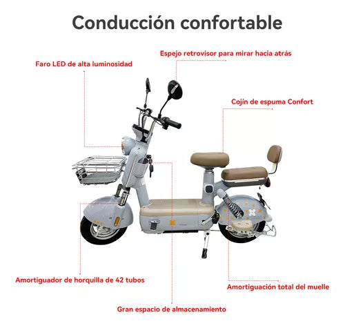 BICICLETA ELECTRICA CX-D04