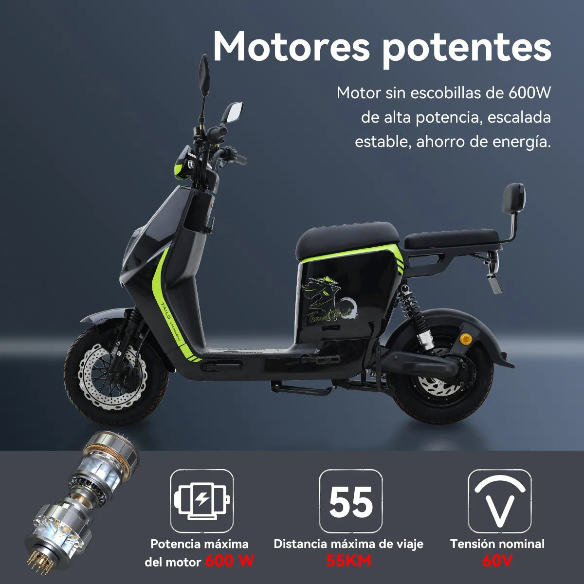 BICICLETA ELECTRICA CX-S06