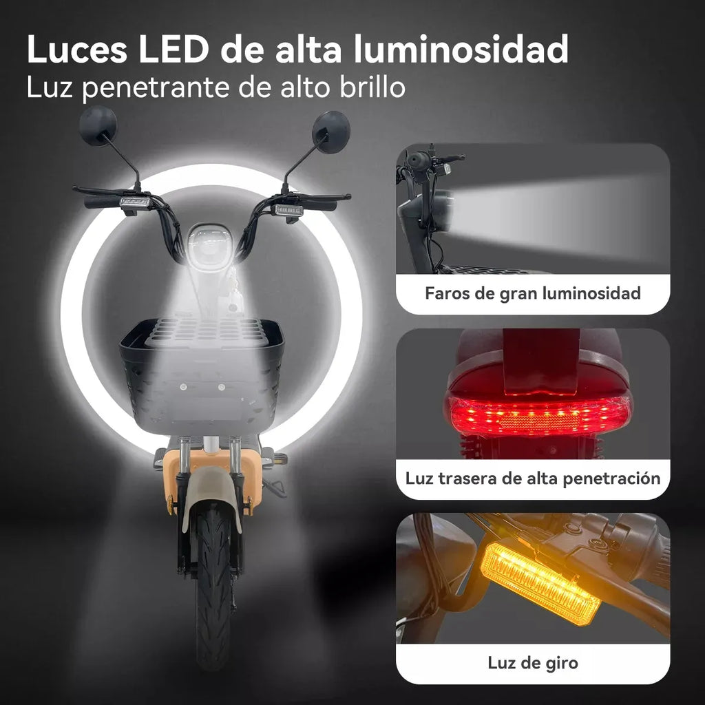 BICICLETA ELECTRICA CX - D12