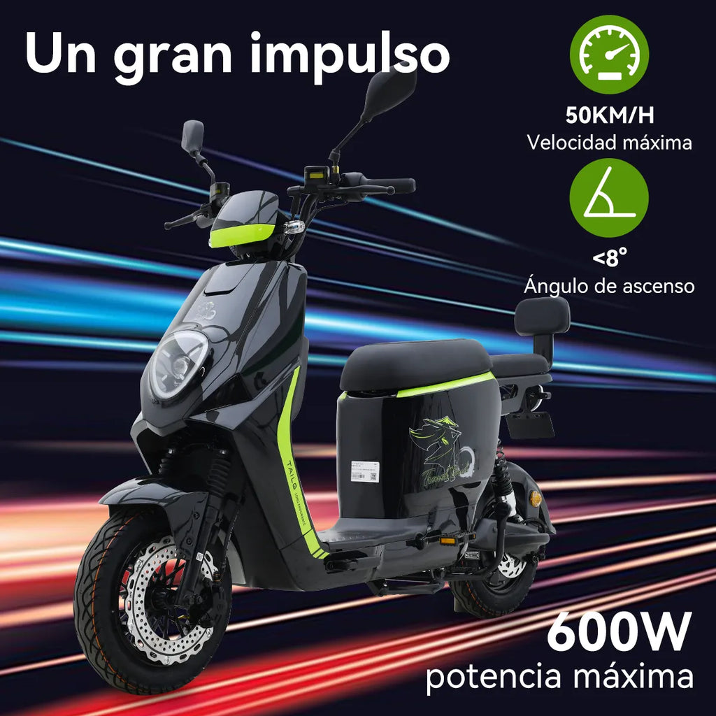 BICICLETA ELECTRICA CX-S06