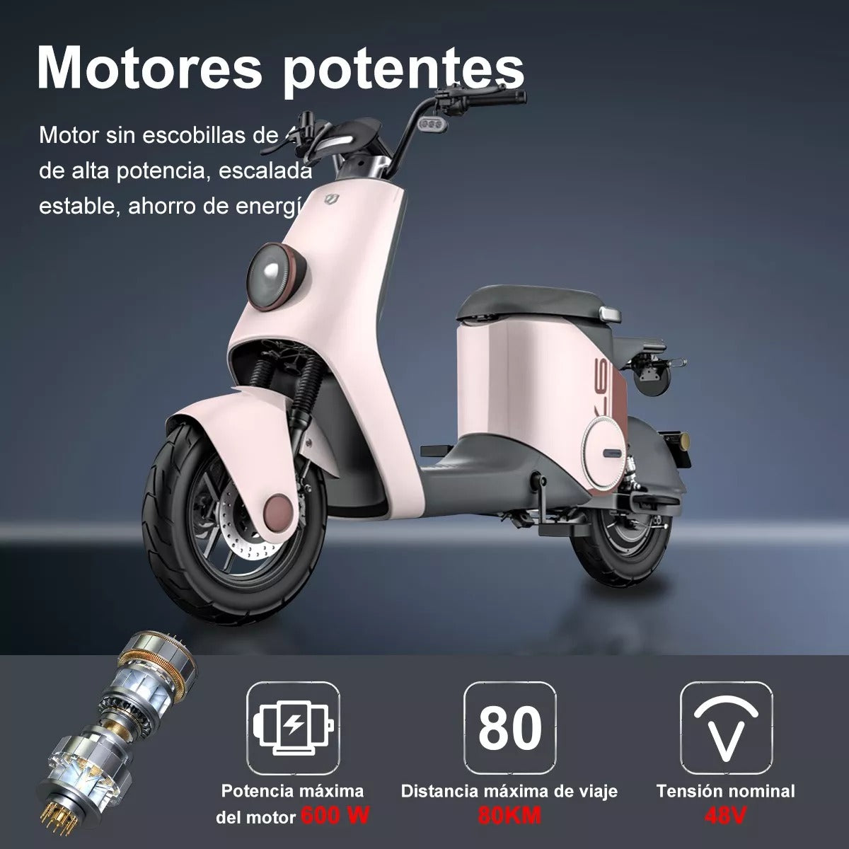 BICICLETA ELECTRICA CX-S02